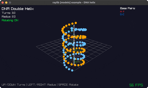 A rotating double helix of paired coloured spheres